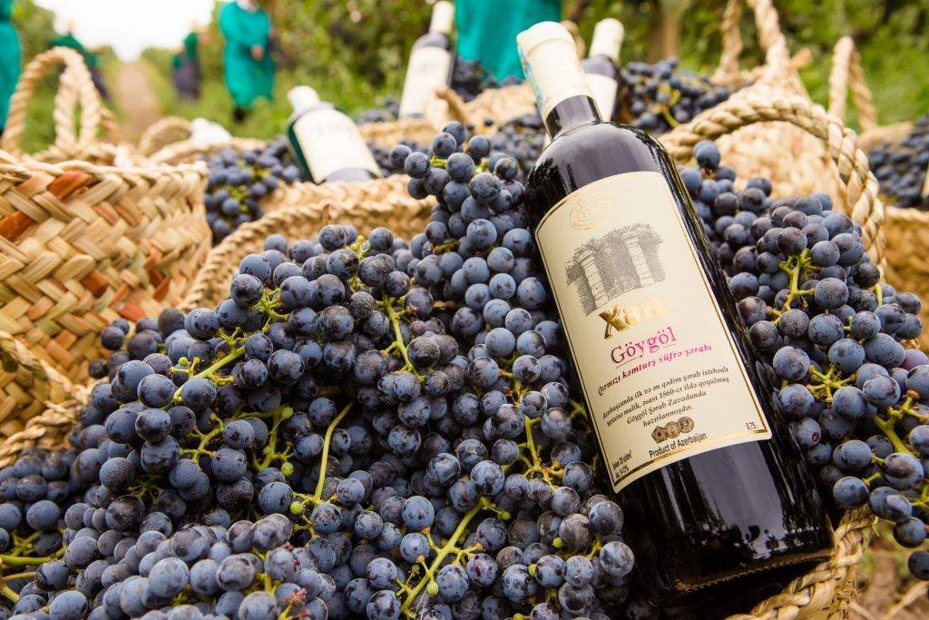 Azerbaijani Wine: Regions, Grapes, Wineries and Wine Tours